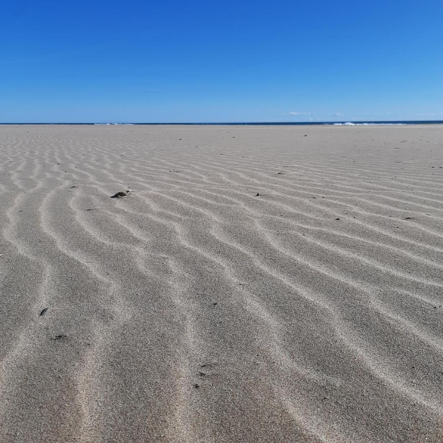 Fivestepstosea - Apartamento Valencia