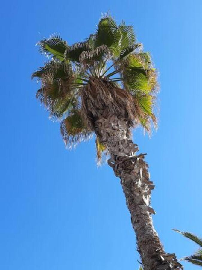 Fivestepstosea - * Valencia