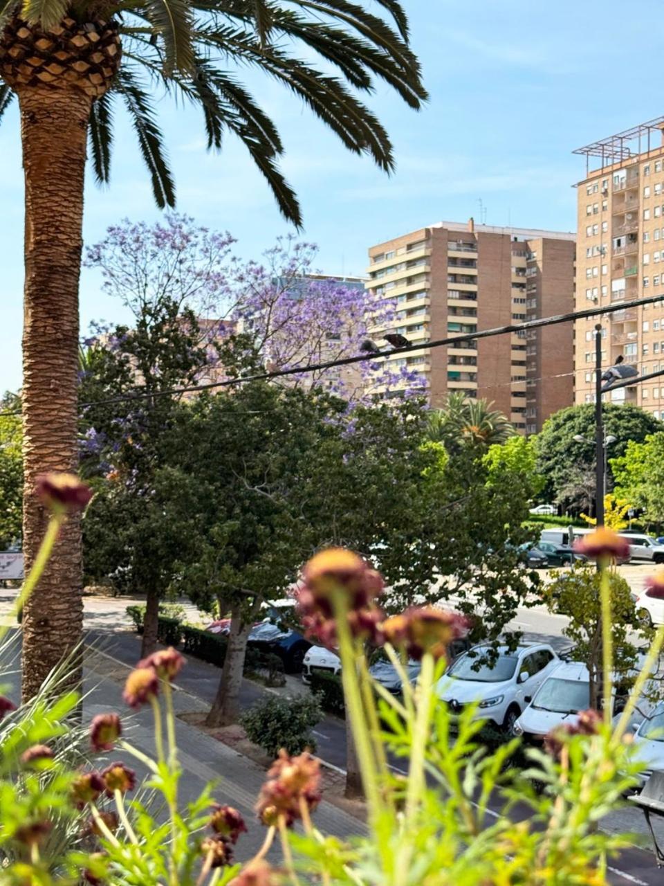 Valencia Homestay Rooms Homestay Valencia