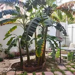 Cozy Apartamento En Ruzafa Para 2-3 Personas Con Aire Acondicionado Y Salida Directa A Terraza