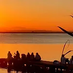 Albufera Rooms