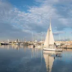 Velero Shabbak