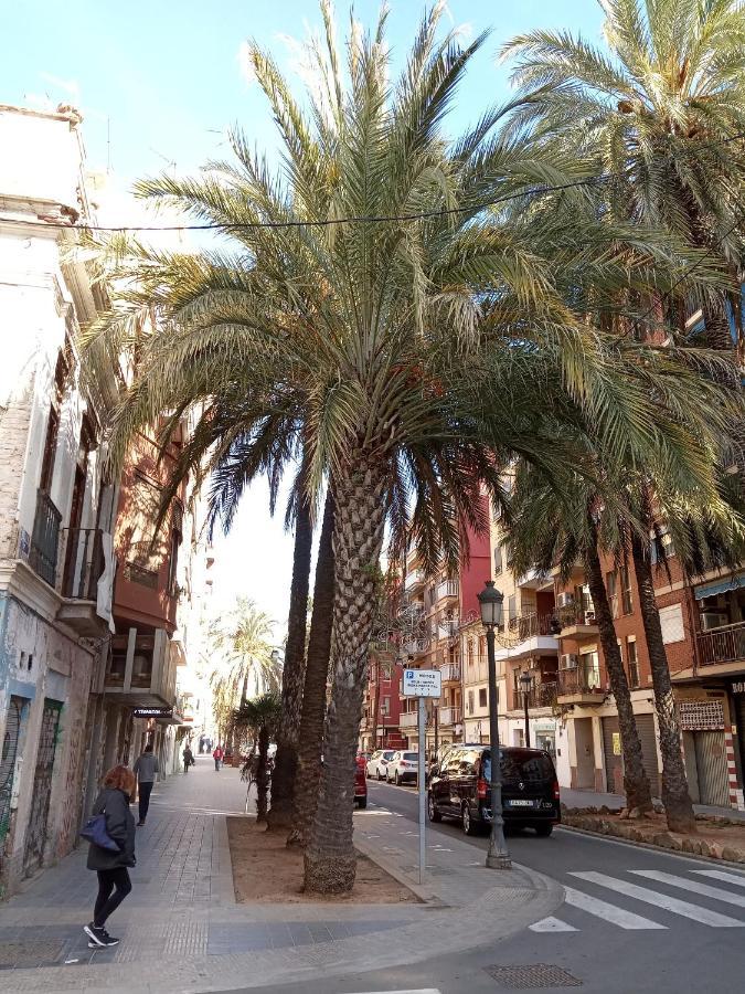Apartment Casa Con Palmera - Port *