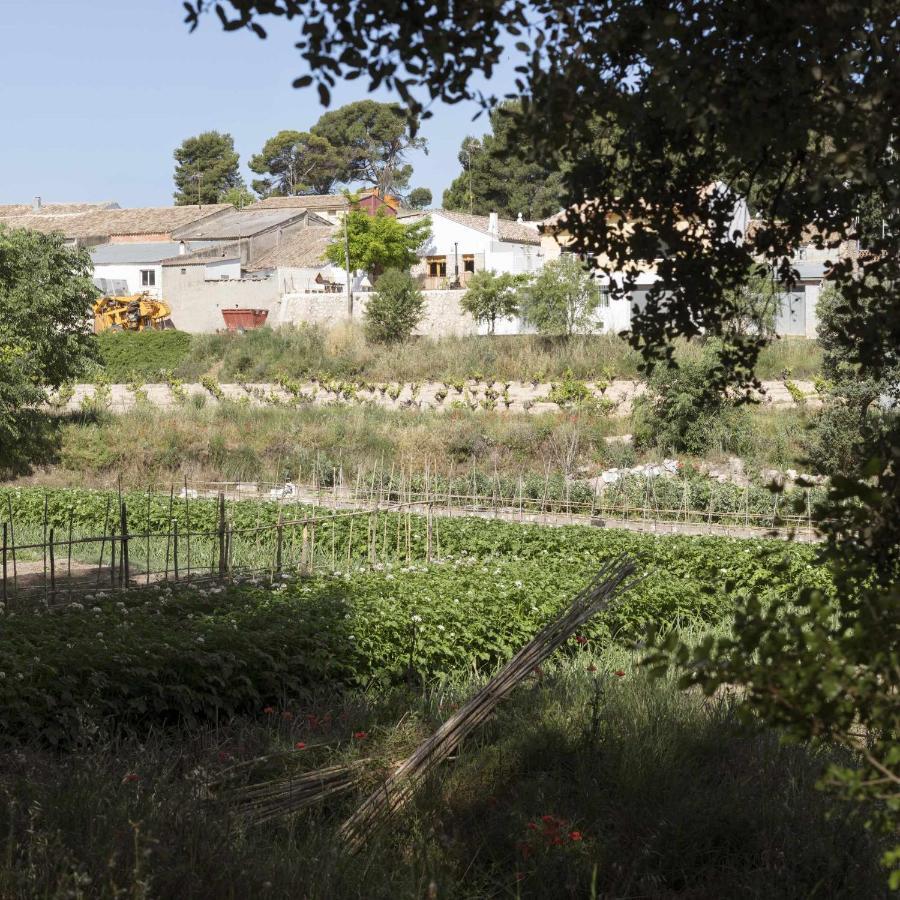 Сasa de vacaciones Serrano La De Mil Suelos Valencia