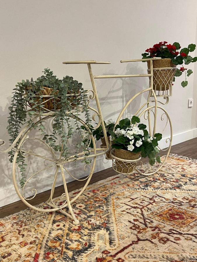Wonderful In The Heart Of Apartment