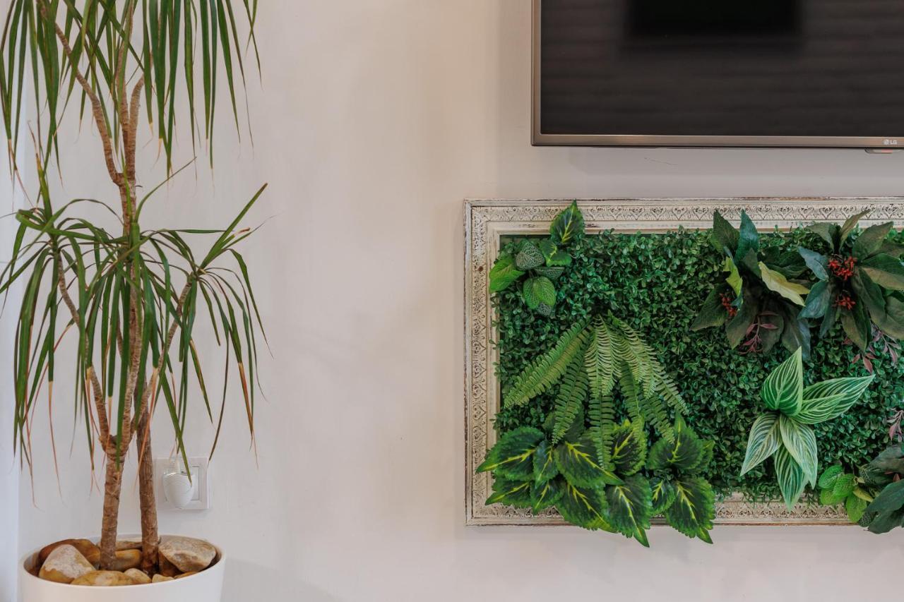 Loft Con Mucha Luz En El Centro Barrio Ruzafa Holiday home Valencia