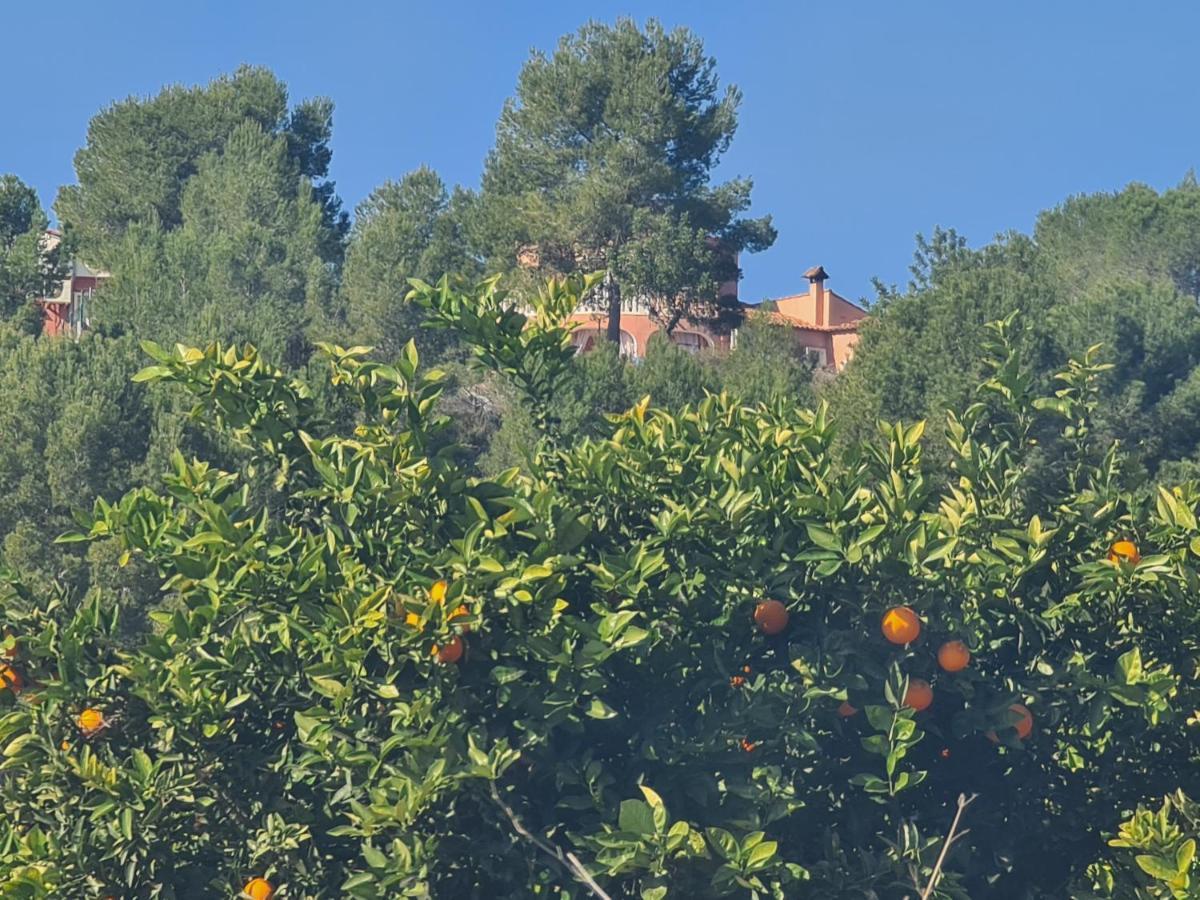 Chateau Angelique Casa rural Valencia