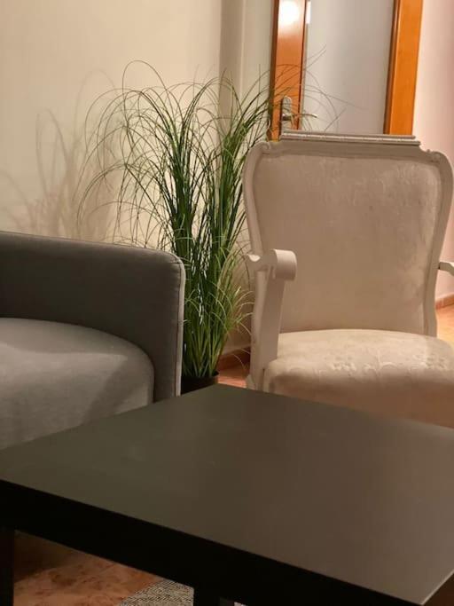In Spacious Flat In Apartamento Valencia