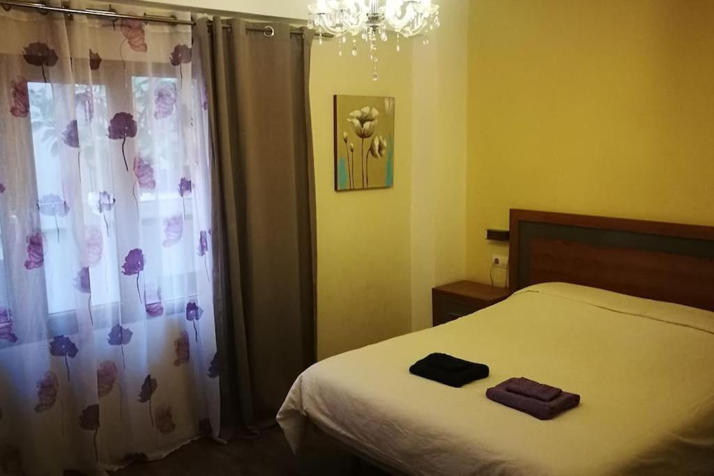 Apartment Center Where Falla Starts