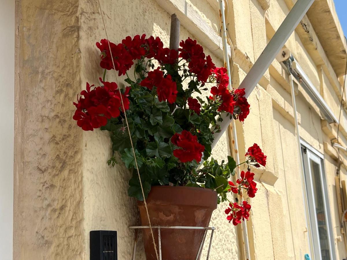 Homestay Studio Valencia