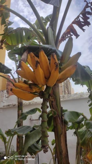 Precioso Con A/a En Ruzafa Con Terracita Privada Y Acceso A Un Jardin, 2-3 Personas Apartamento *