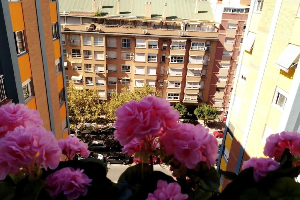 Junto Al Oceanografic Apartment *