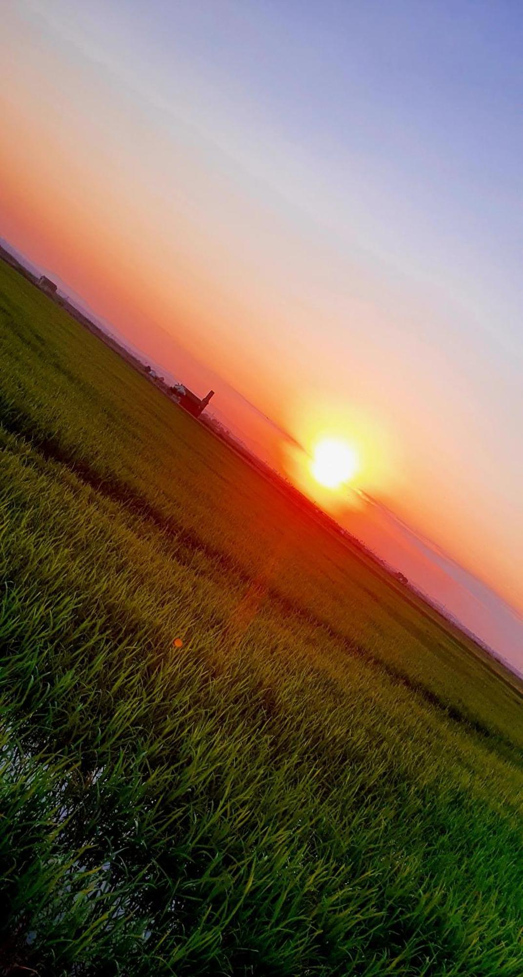 Homestay Albufera *