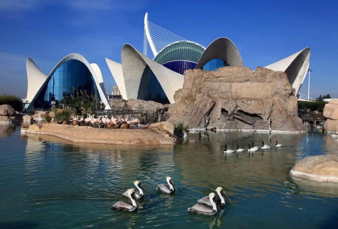 Fantastic Near & Science Apartamento Valencia
