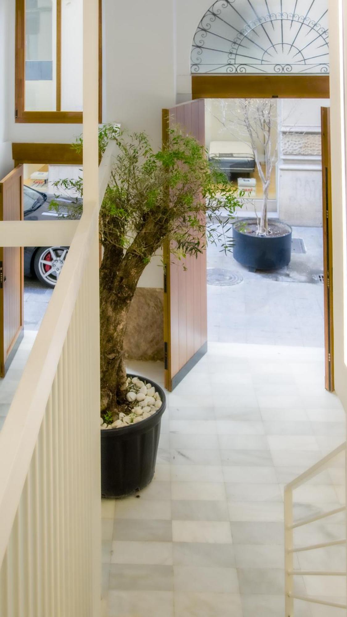 Catalina Downtown Apartment *