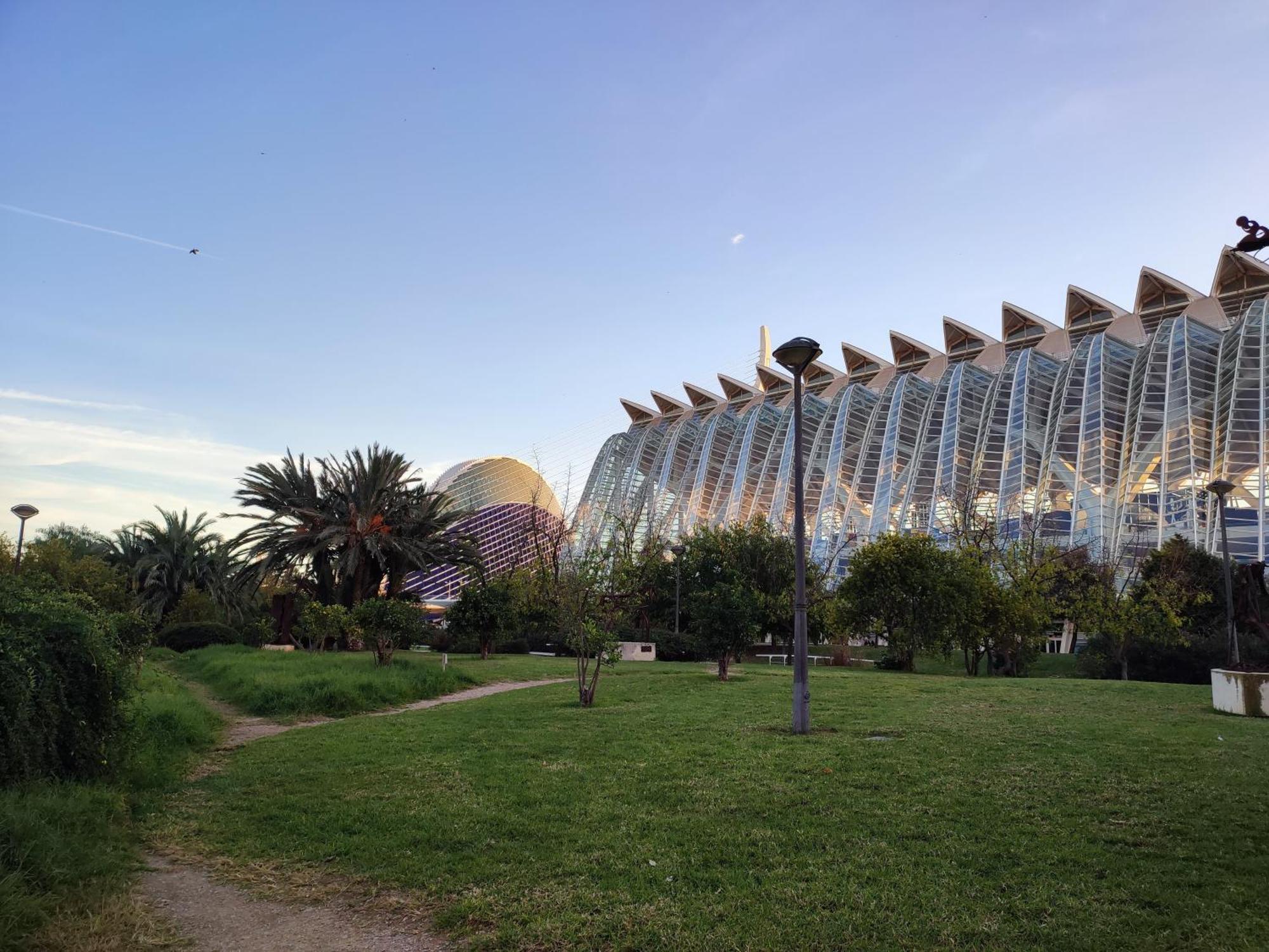 Of Arts & Sciences By Bruno