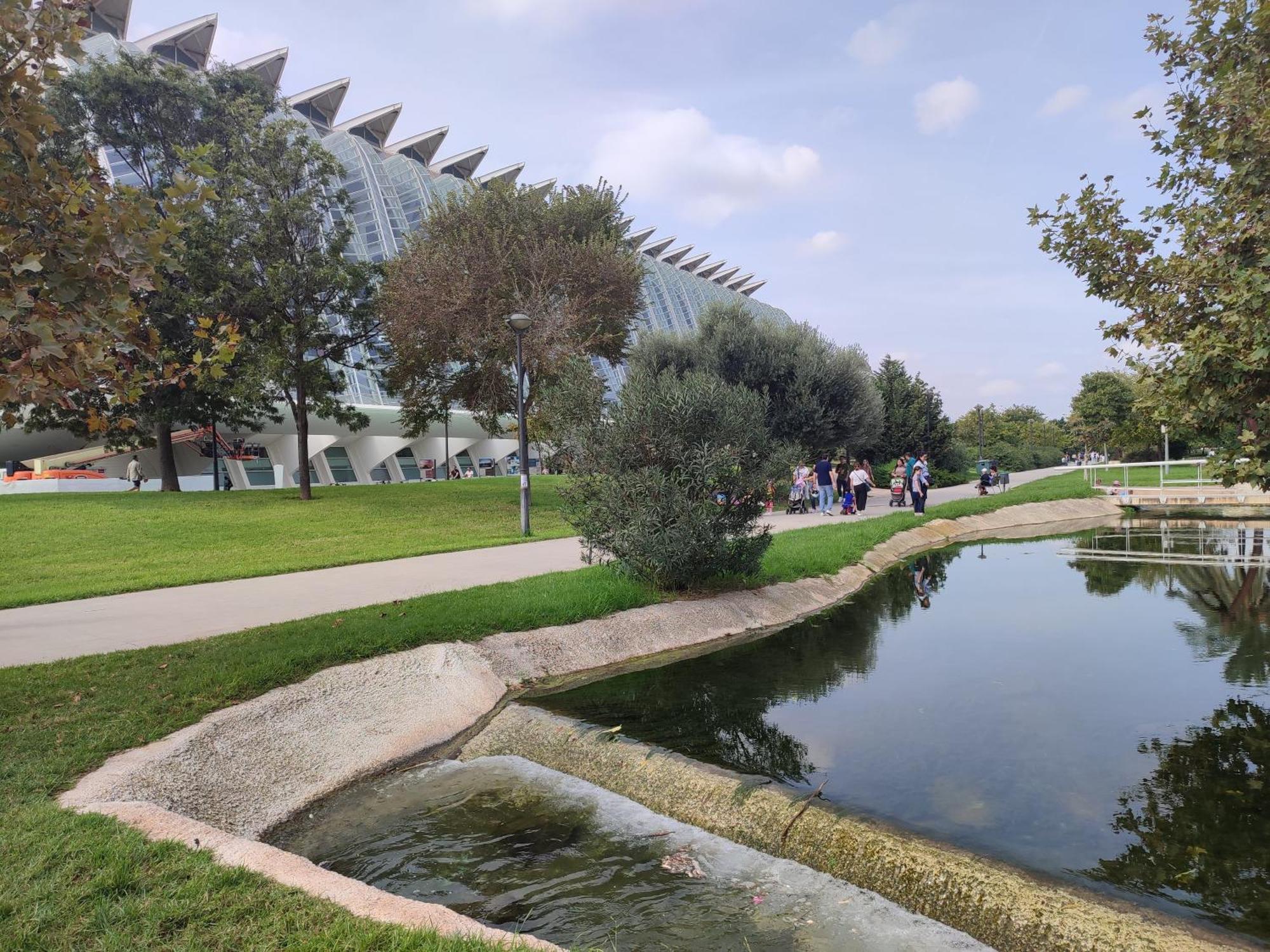 Of Arts & Sciences By Bruno Guest house Valencia