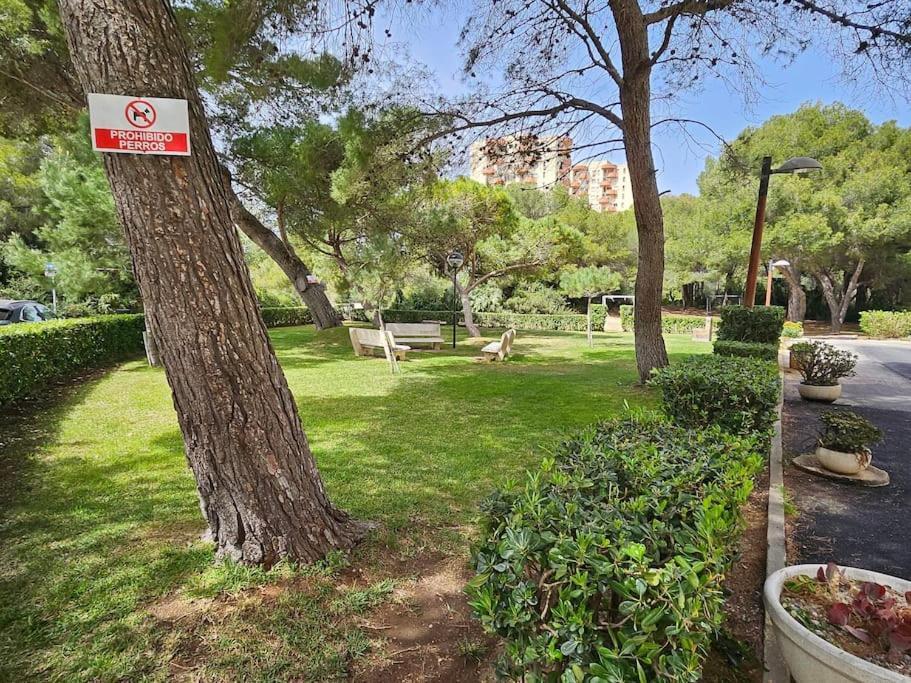 Apartamento Lake & Sea * Valencia
