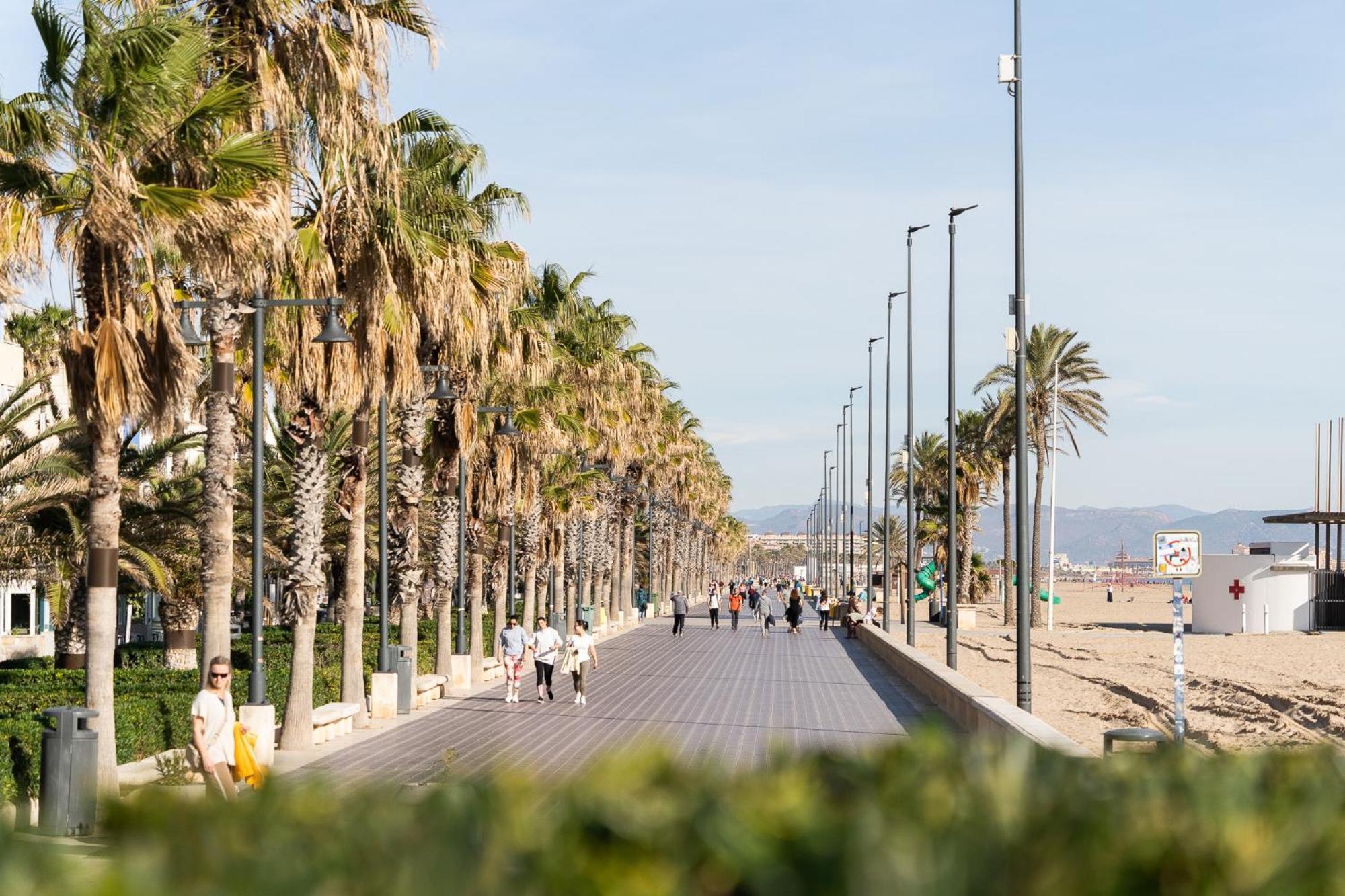 Junto Al Oceanografic Apartment Valencia