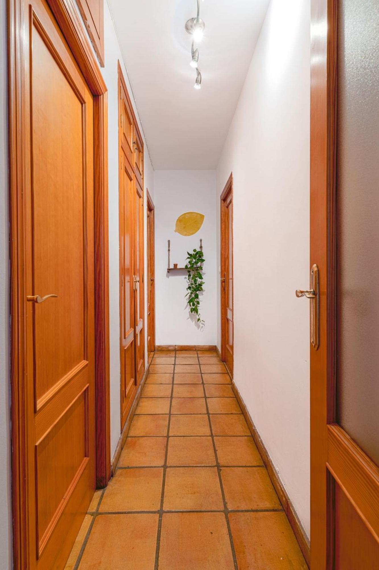 Apartamento Musico Turia Gardens