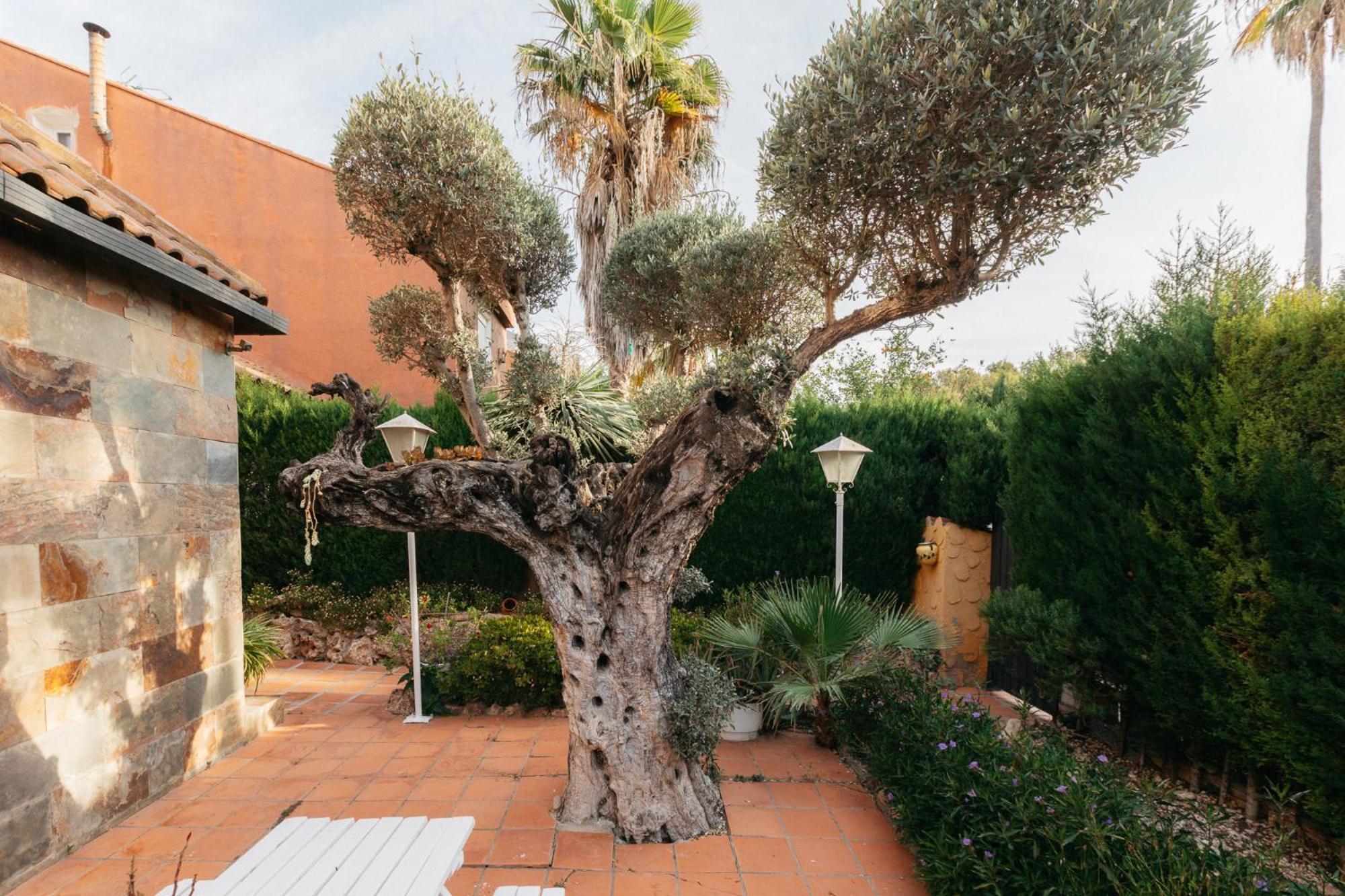 Chalet, Rodeada De Naturaleza Piscina A Doce Klm De Y 7 Del Aeropuerto