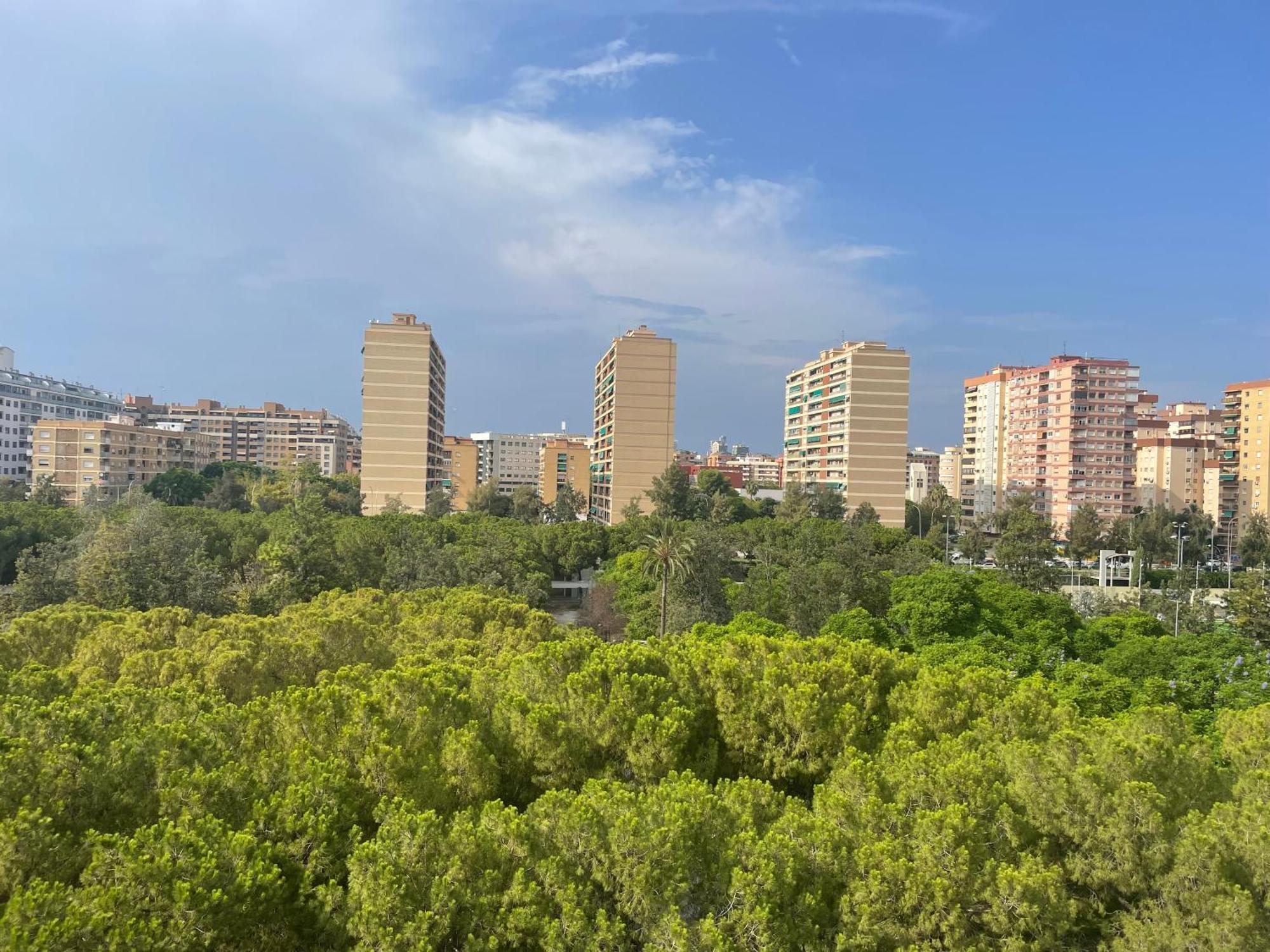 Apartamento Cozy - Lumineux 3 Pieces, A Cote Du Jardin De Turia Valencia