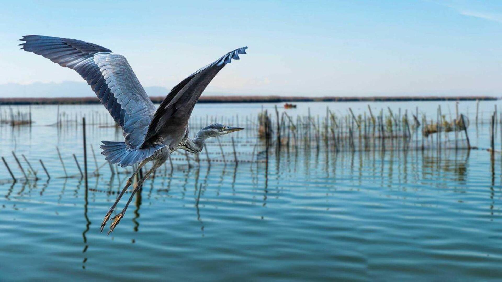 Albufera Dreams Nature Apartahotel *