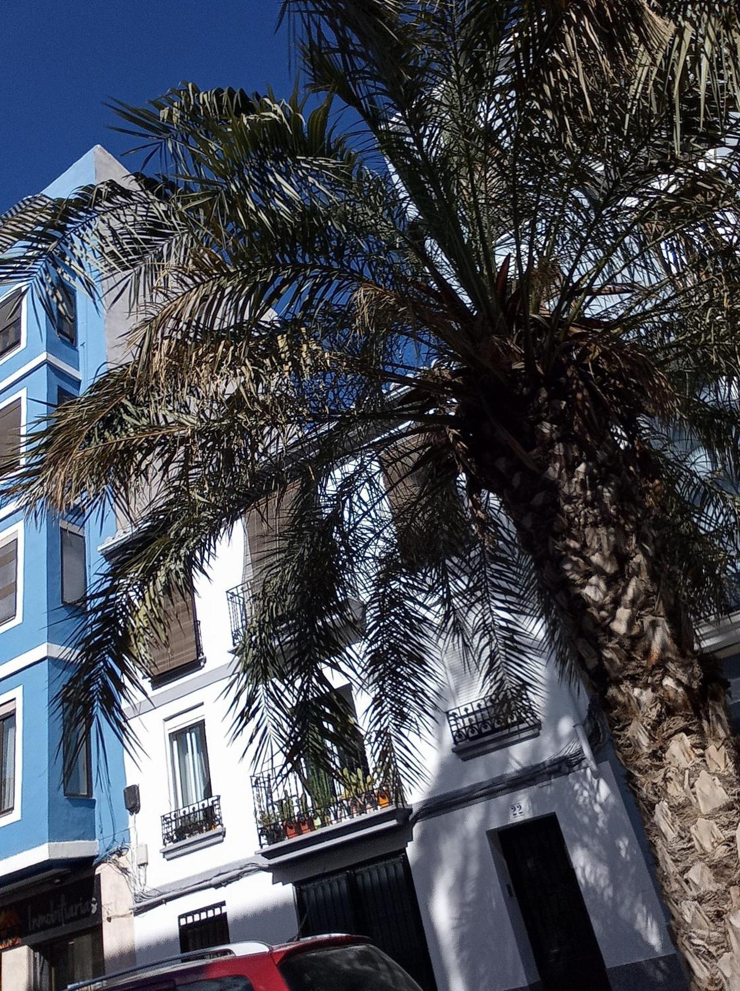 Apartment Casa Con Palmera - Port