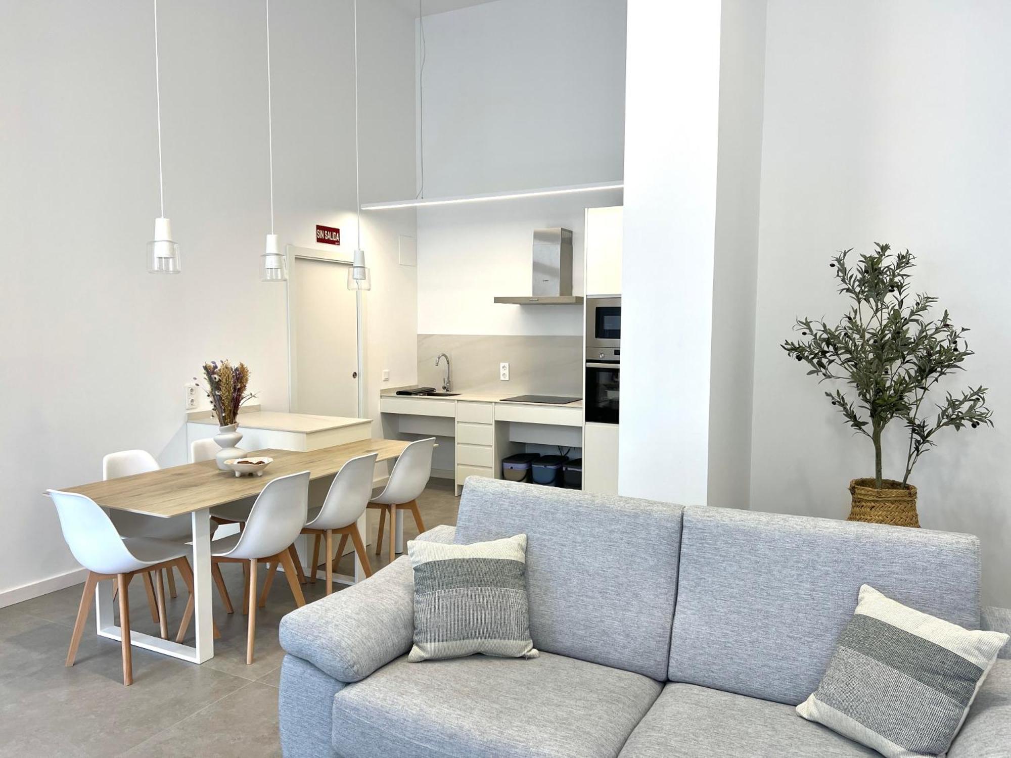 Main Lofts Apartment