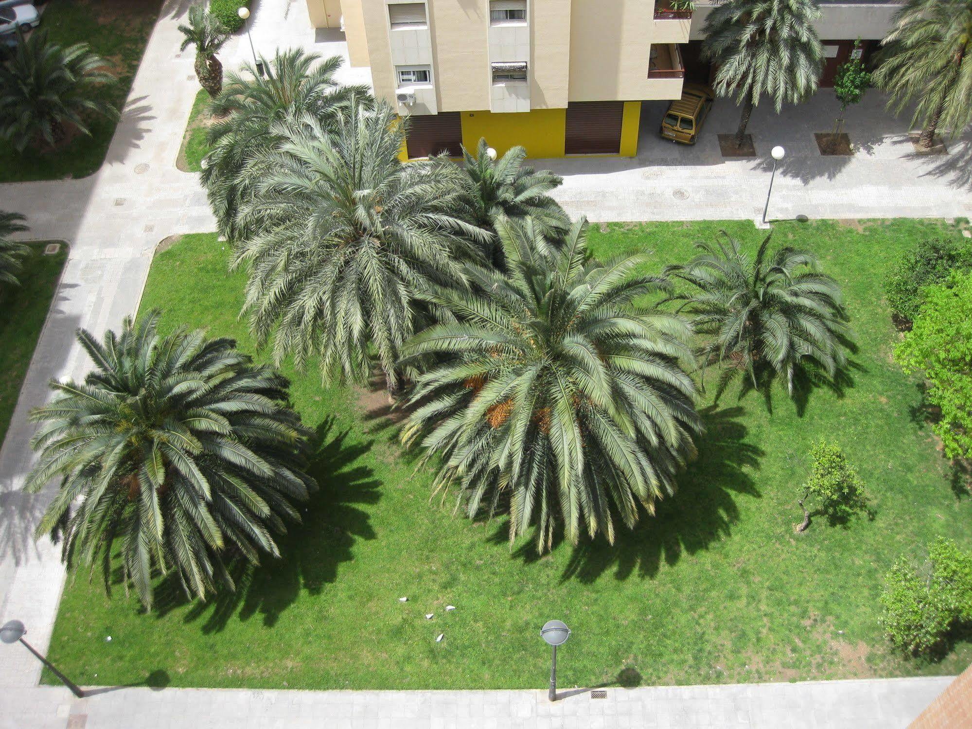 Plaza Picasso Apartamento *