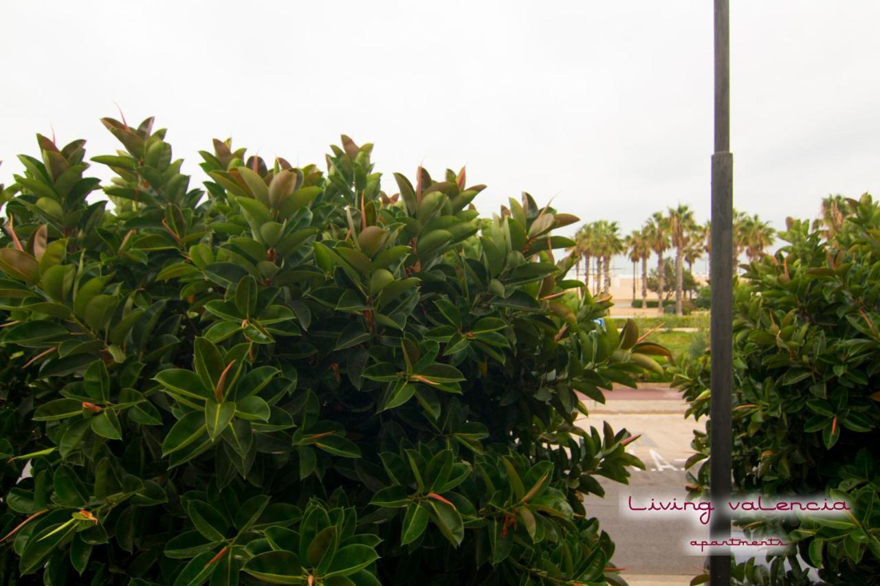 Playa - Malvarrosa Beach