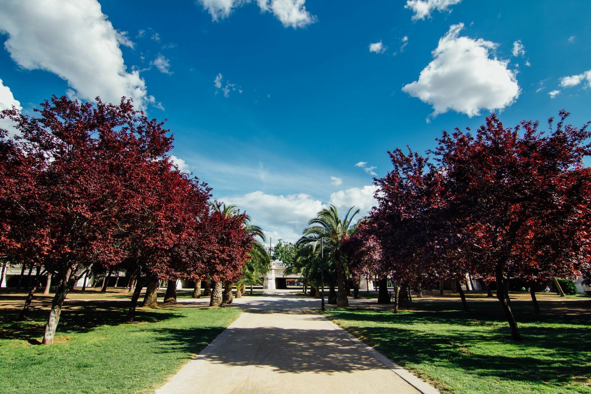 Anderson Flats * Valencia