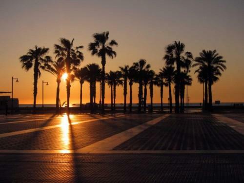 Luxury A40-35 With Terrace And Sea Views Apartment Valencia