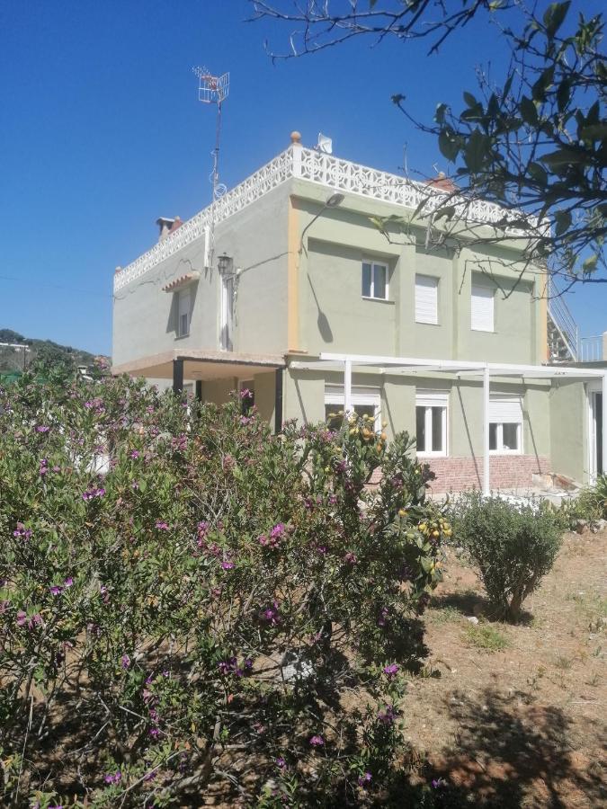 Casa Mans Albalat/sagunto