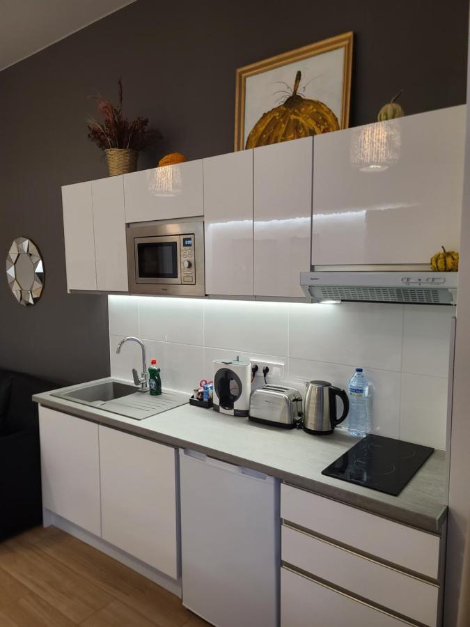 Artes Hlius Luxury Apartment *