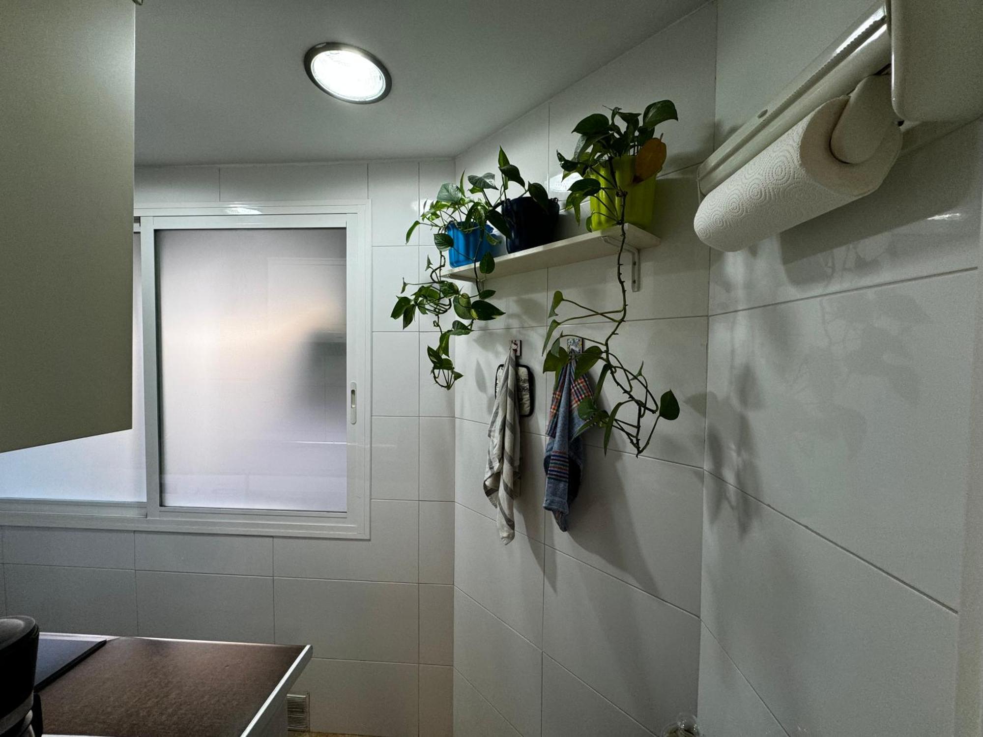 Russafa Codrut Apartment