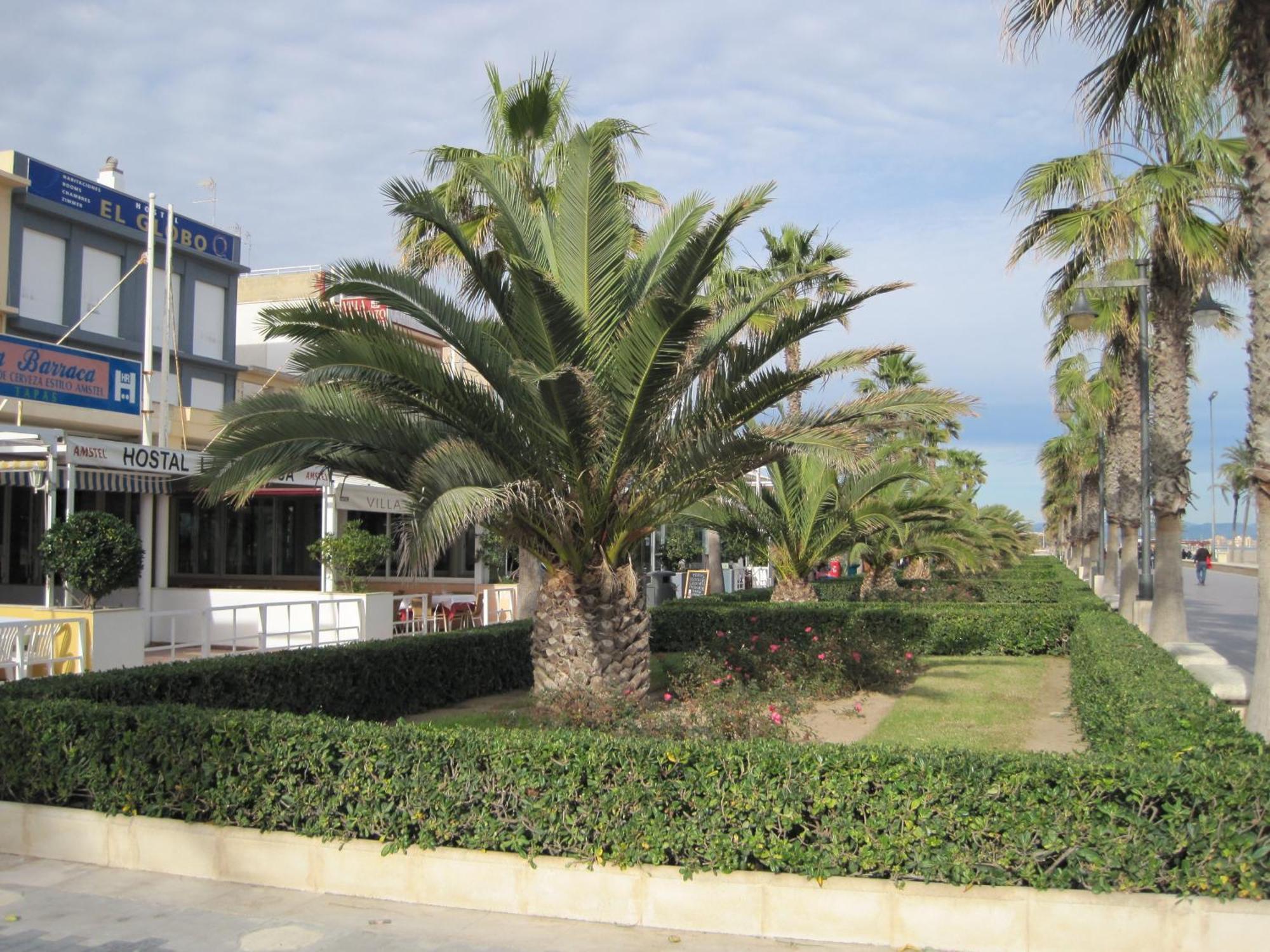 Hotel El Globo