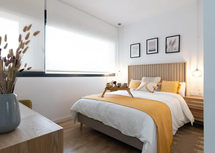 Dormforyou Arena Delux