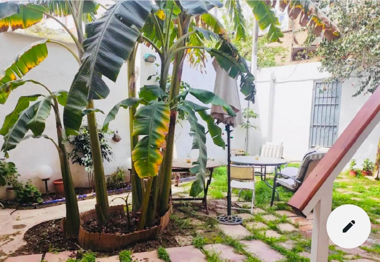 Doble En Ruzafa Con Bano Privado Homestay *