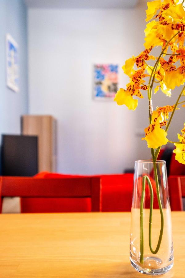 Quality With Homely Decor Apartamento