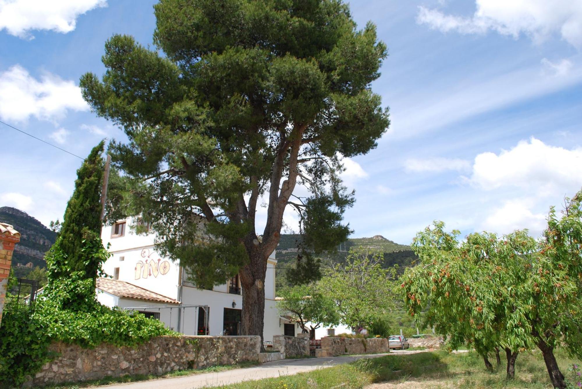 Holiday home El Pino B & B, Chera