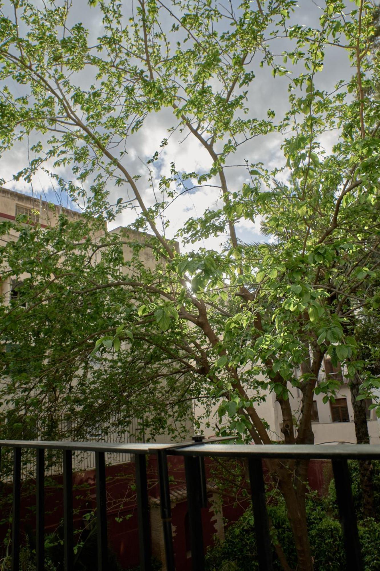 Apartamento De Diseno En Plaza Del Carmen F4