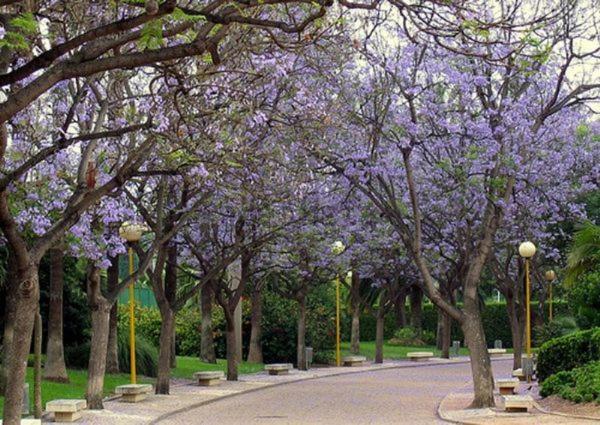 Apartamento Almiserat Valencia